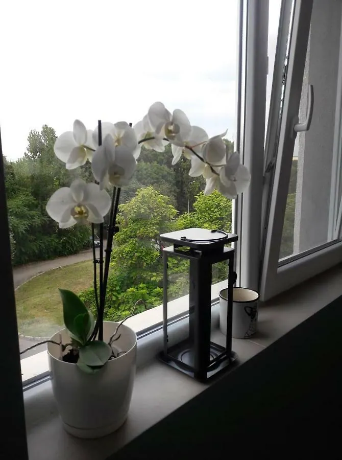 Апартамент Оскар Apartment Burgas